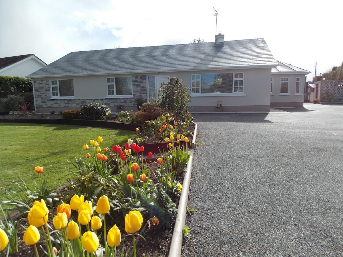 Barrow View B&B Mountmellick Zewnętrze zdjęcie
