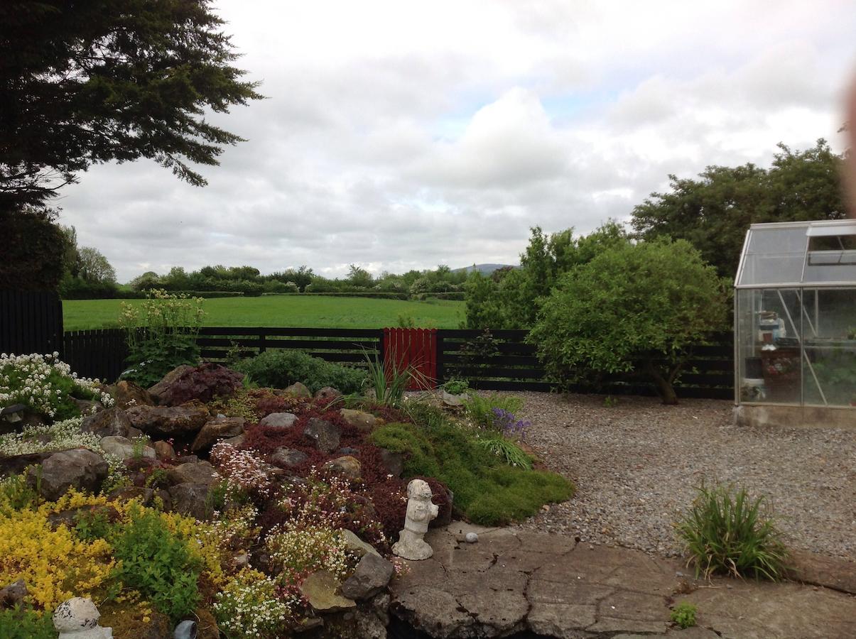 Barrow View B&B Mountmellick Zewnętrze zdjęcie
